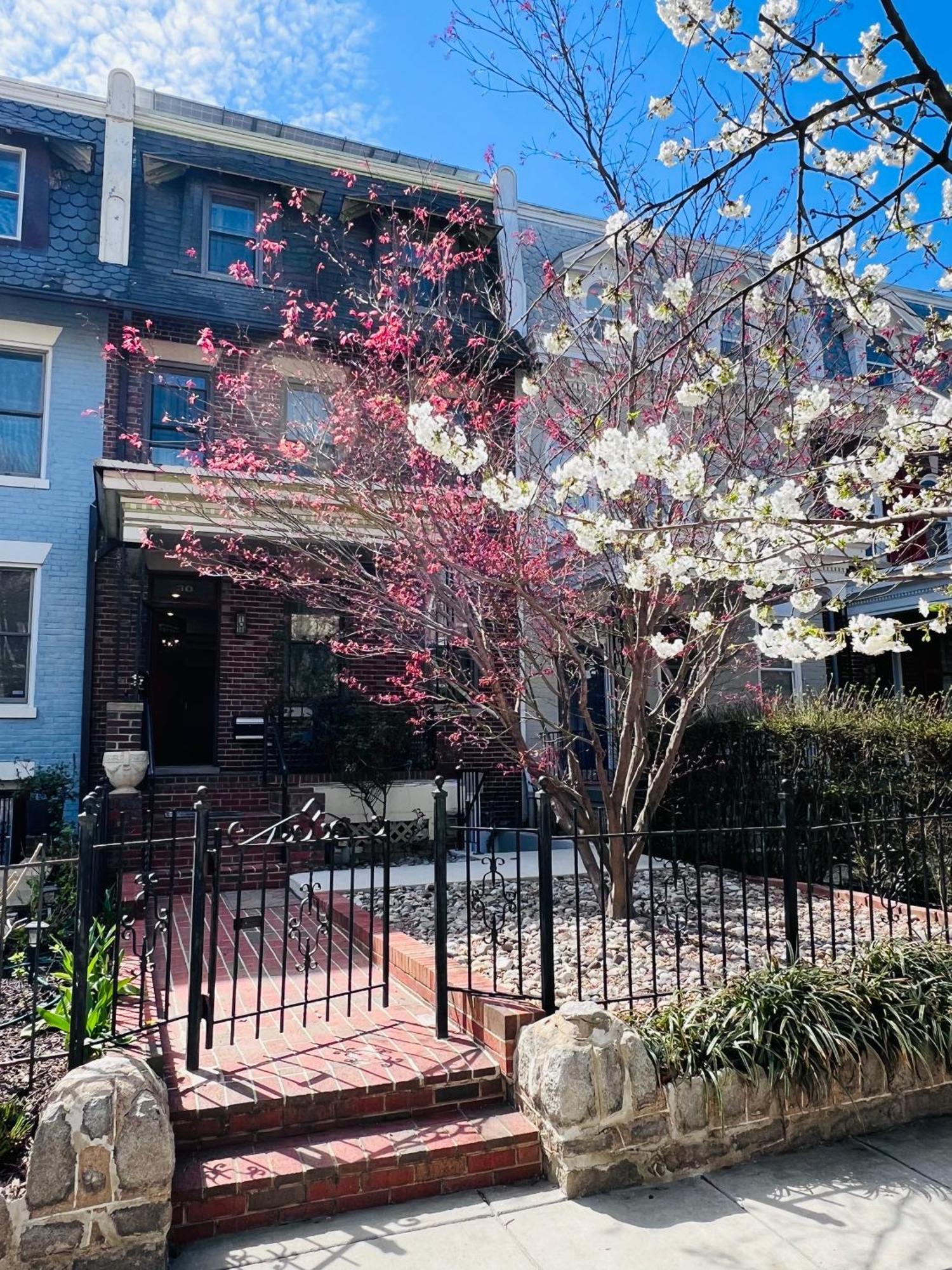 Amma'S Place Washington Exterior foto